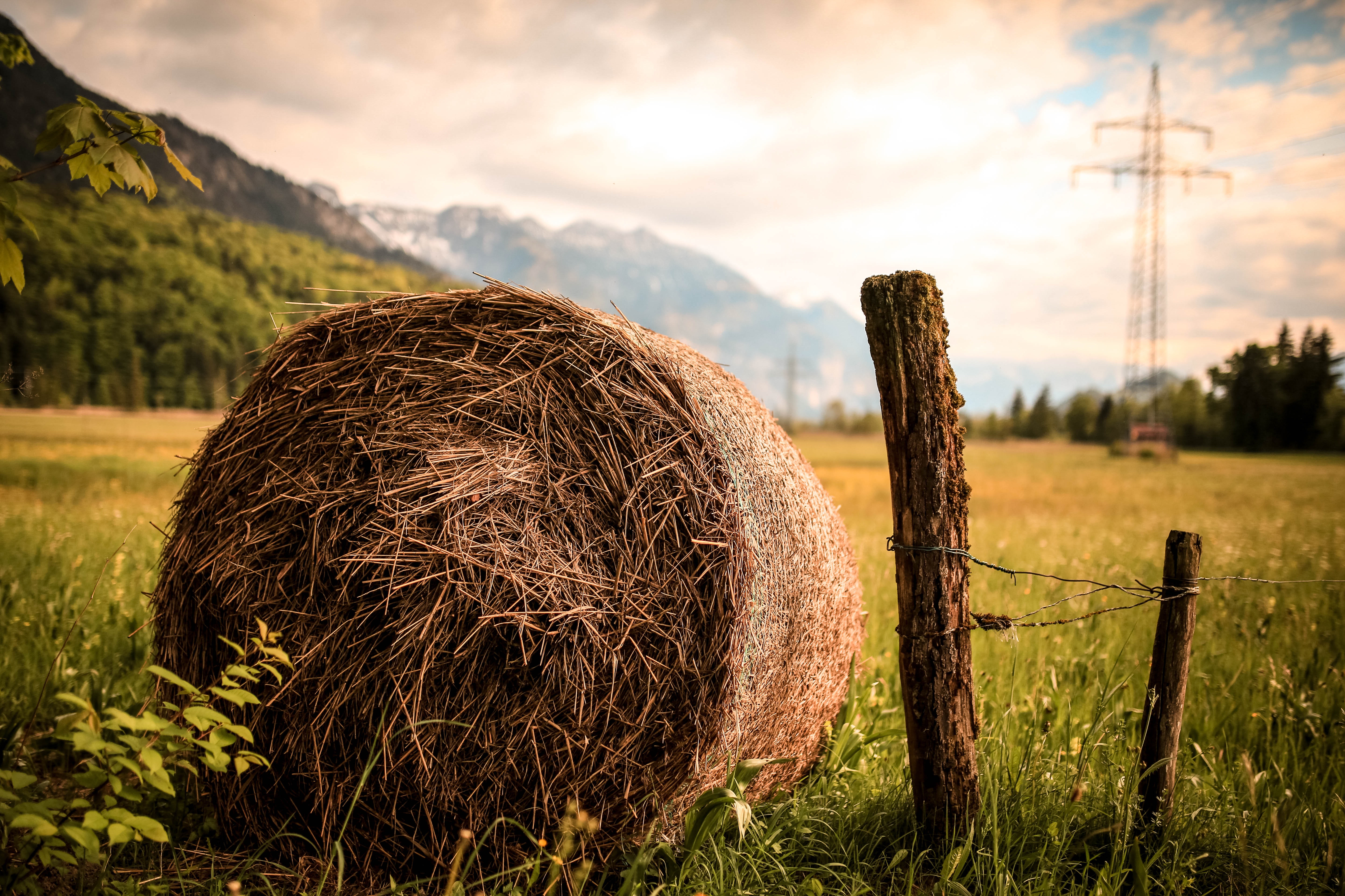agriculture-country-countryside-518557